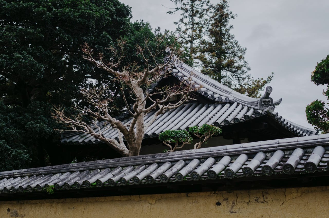 Превью Nara 2024